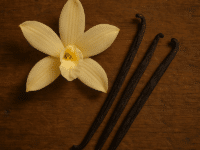Smooth Vanilla