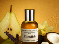 Cloudish