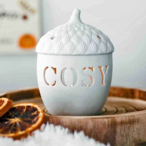 Acorn TeaLight