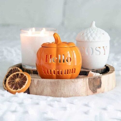 Acorn TeaLight - Image 4