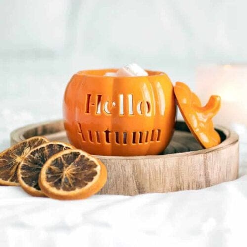 Hello Autumn Pumpkin Wax Melter