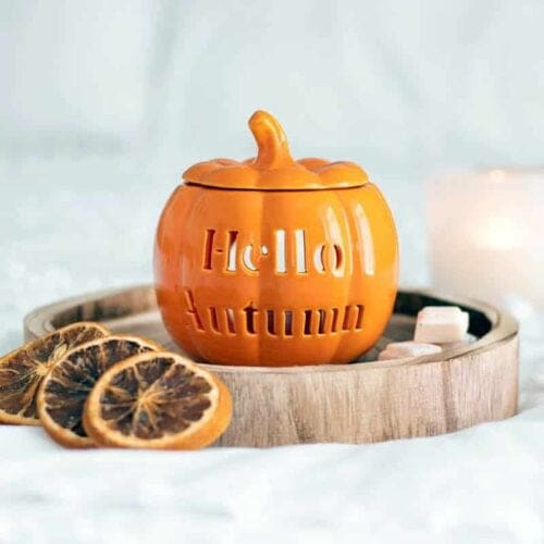 Hello Autumn Pumpkin Wax Melter - Image 3