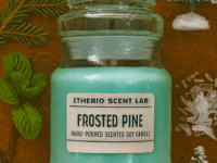 Home 40 Κερί Frosted Pine